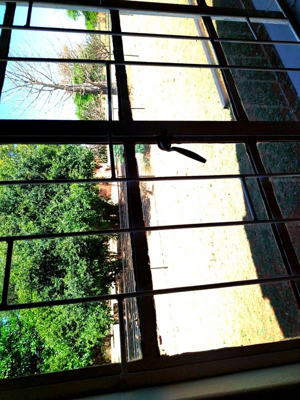 To Let 3 Bedroom Property for Rent in De Wildt North West
